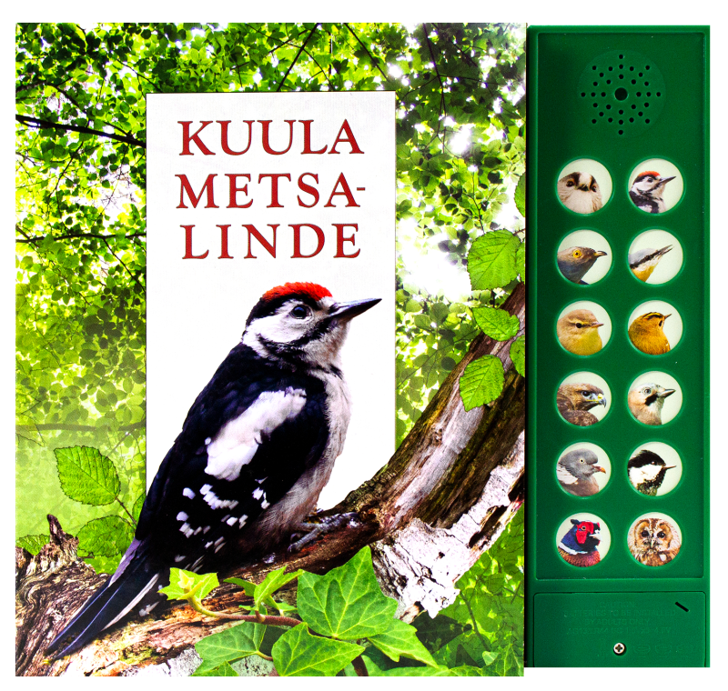 Kuula metsalinde