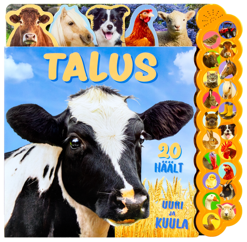 Talus