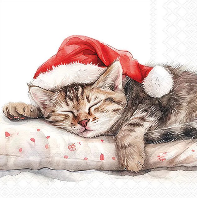 Lauasalvrätikud Dreaming about X-Mas, 20tk