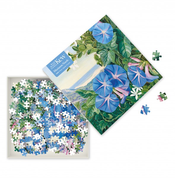 PUSLE AMATUNGULA AND BLUE IPOMOEA (M. NORTH), 1000TK