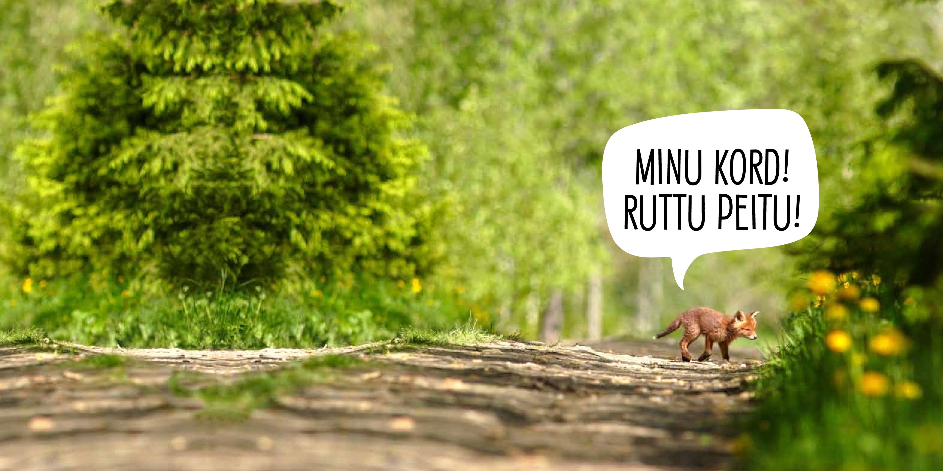 Paharet ja unistaja