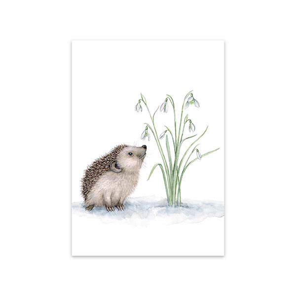 Õnnitluskaart Snowdrop Hedgehog