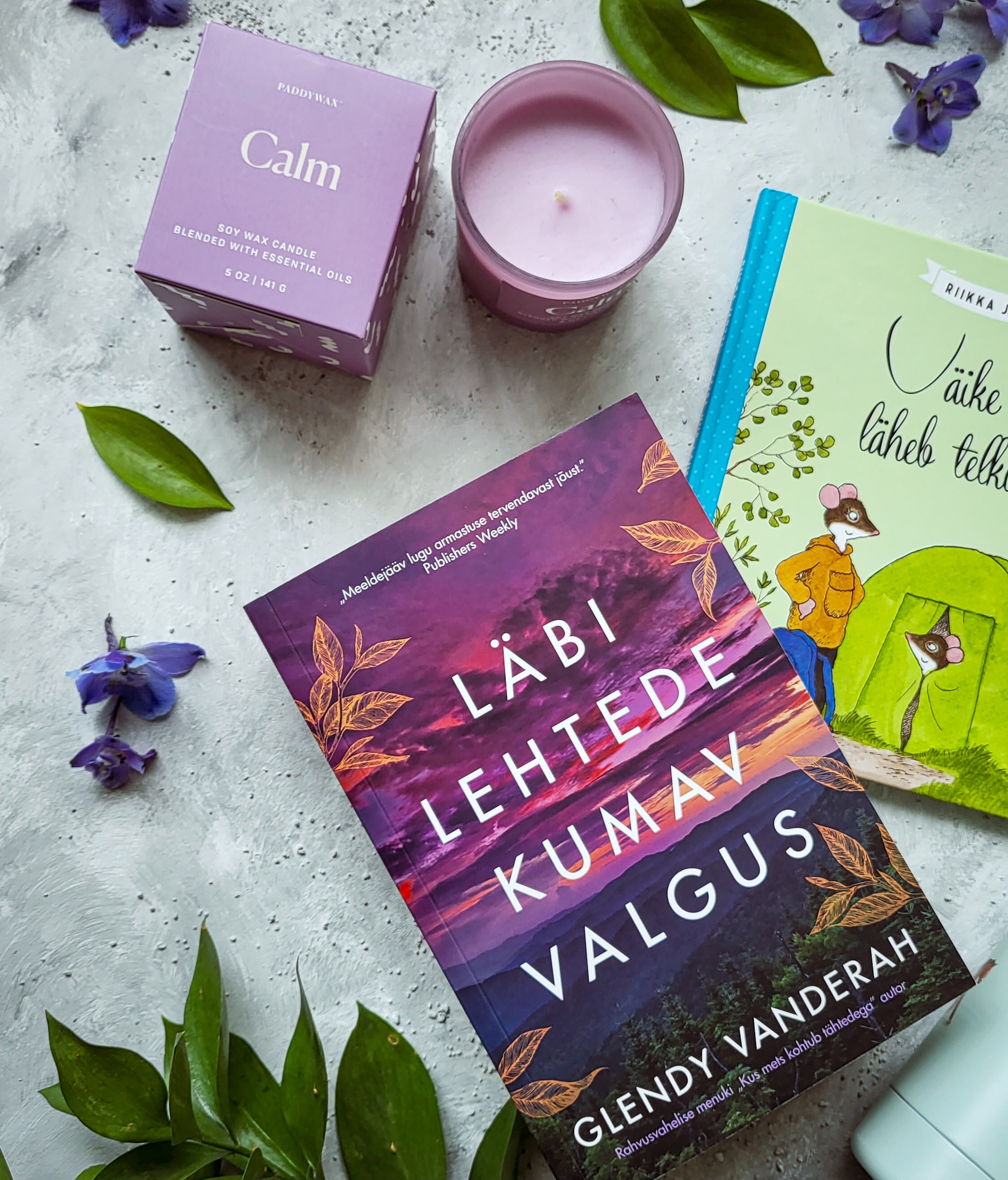 Läbi lehtede kumav valgus - Glendy Vanderah