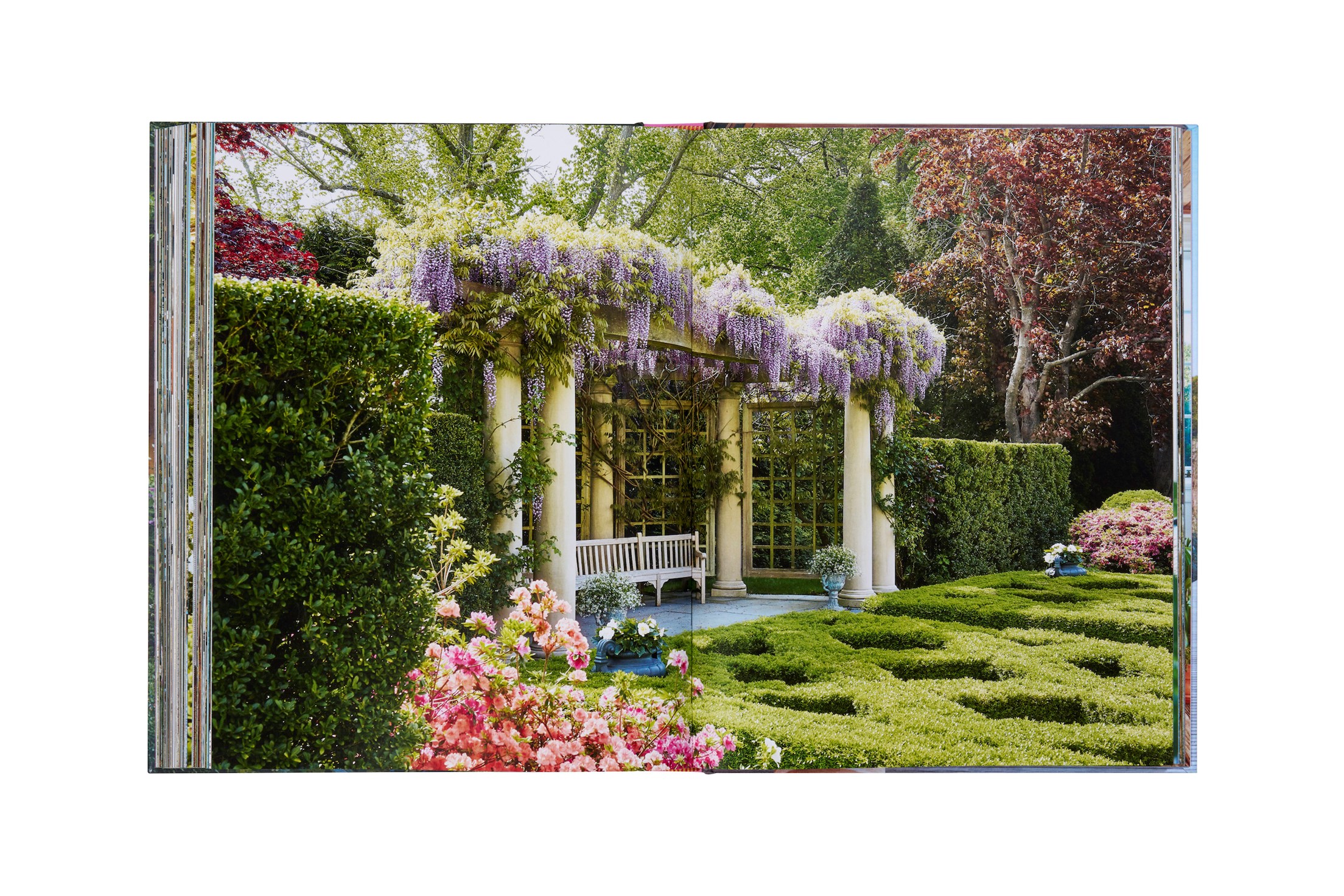 Inside the Hamptons