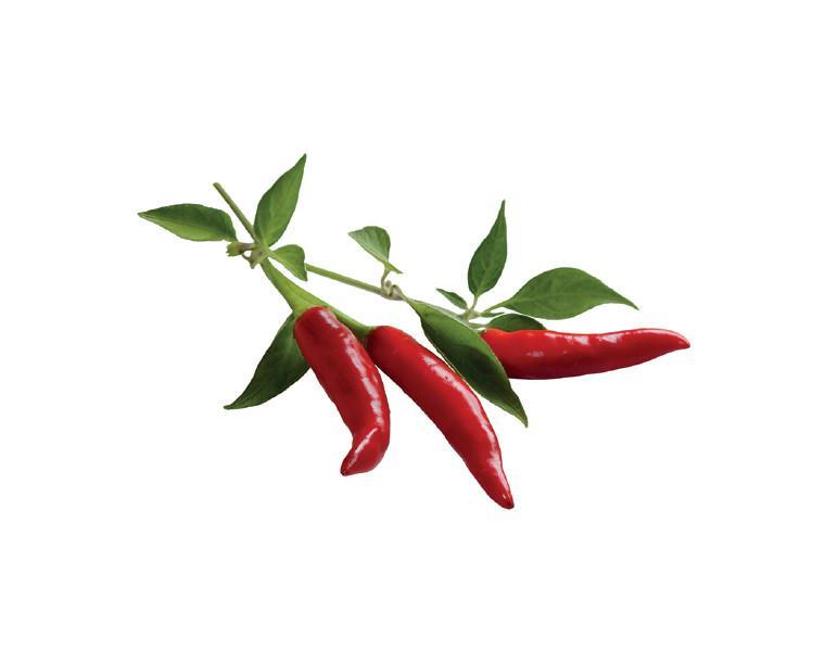 CLICK & GROW: 3 TAIMEKASSETTI, TŠILLIPIPAR