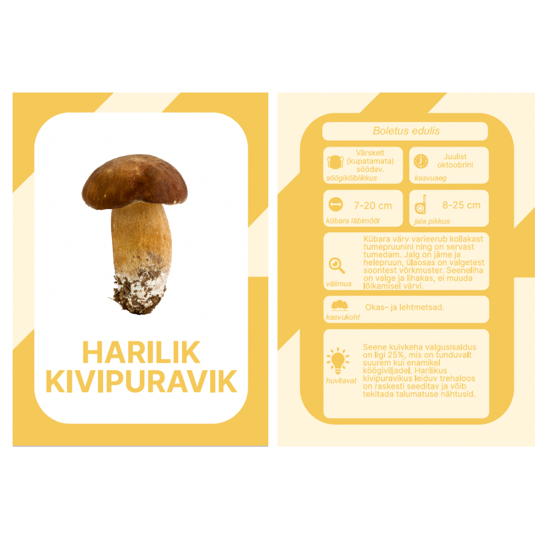 Õppekaardid Eesti seened