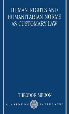 Human Rights and Humanitarian Norms as Customary Law