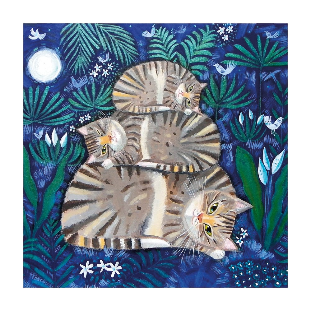 Õnnitluskaart Moonlight Cat Nap