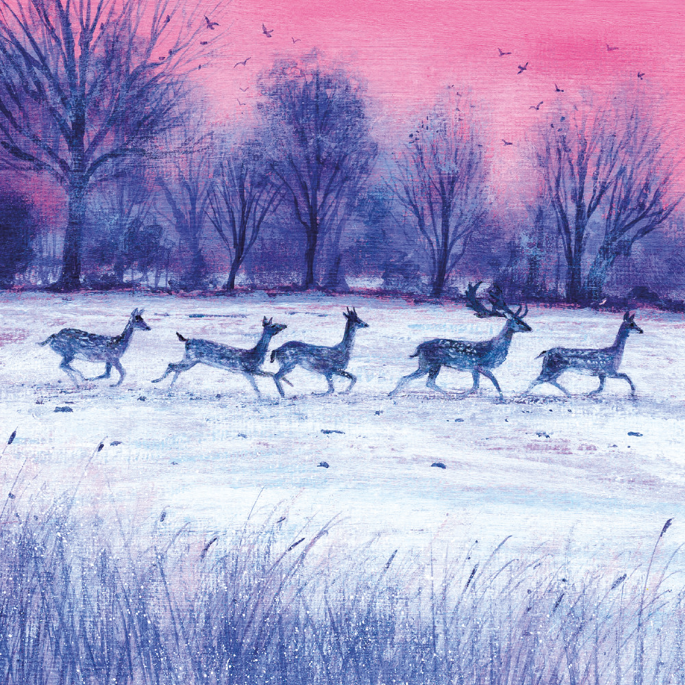 Jõulukaartide komplekt Winter Sky, 8tk