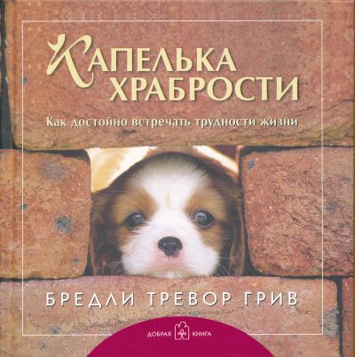 КАПЕЛьКА ХРАБРОСТИ. КАК ДОСТОЙНО ВСТРЕЧАТь ТРУДНОСТИ ЖИЗНИ