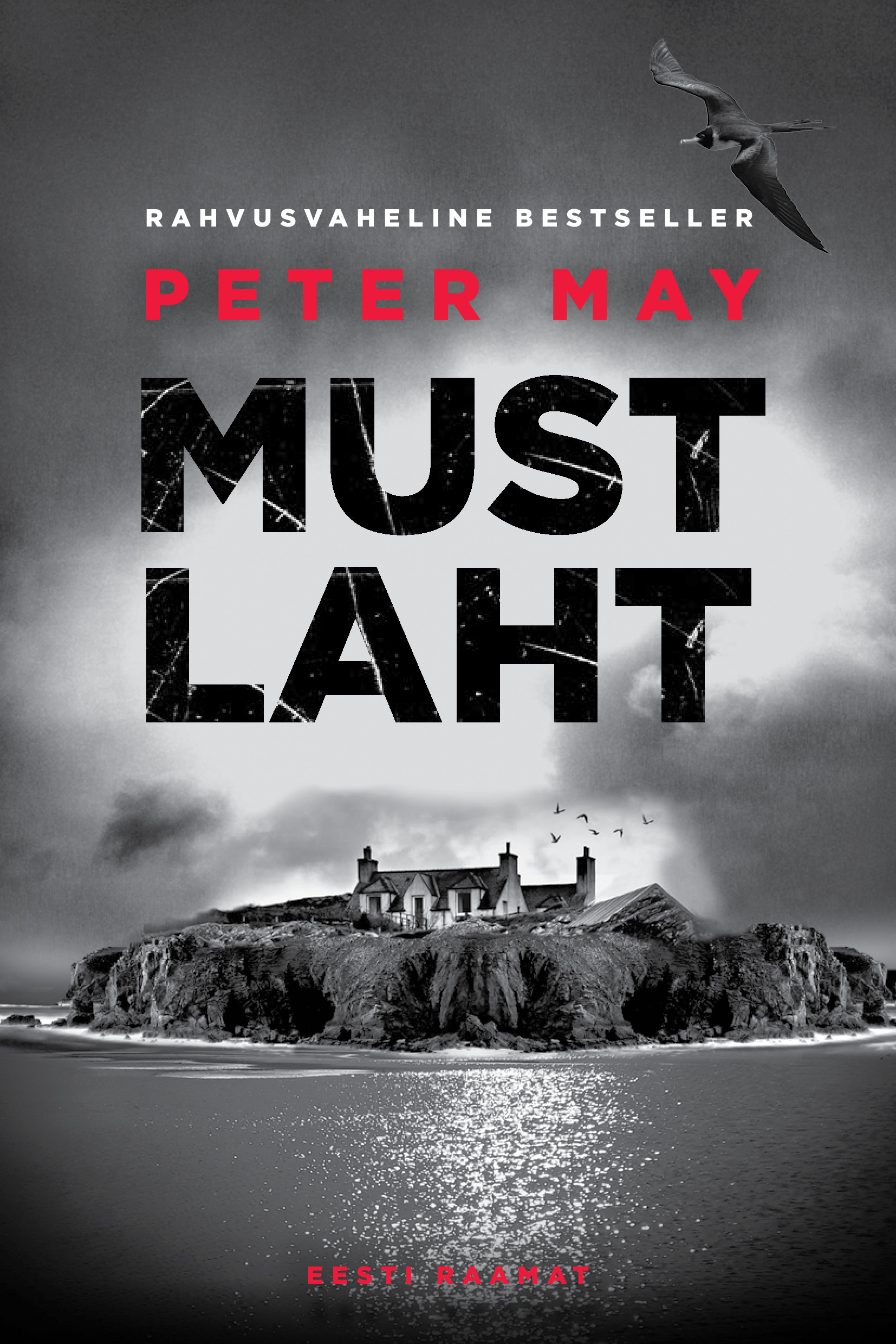 E-raamat: Must laht