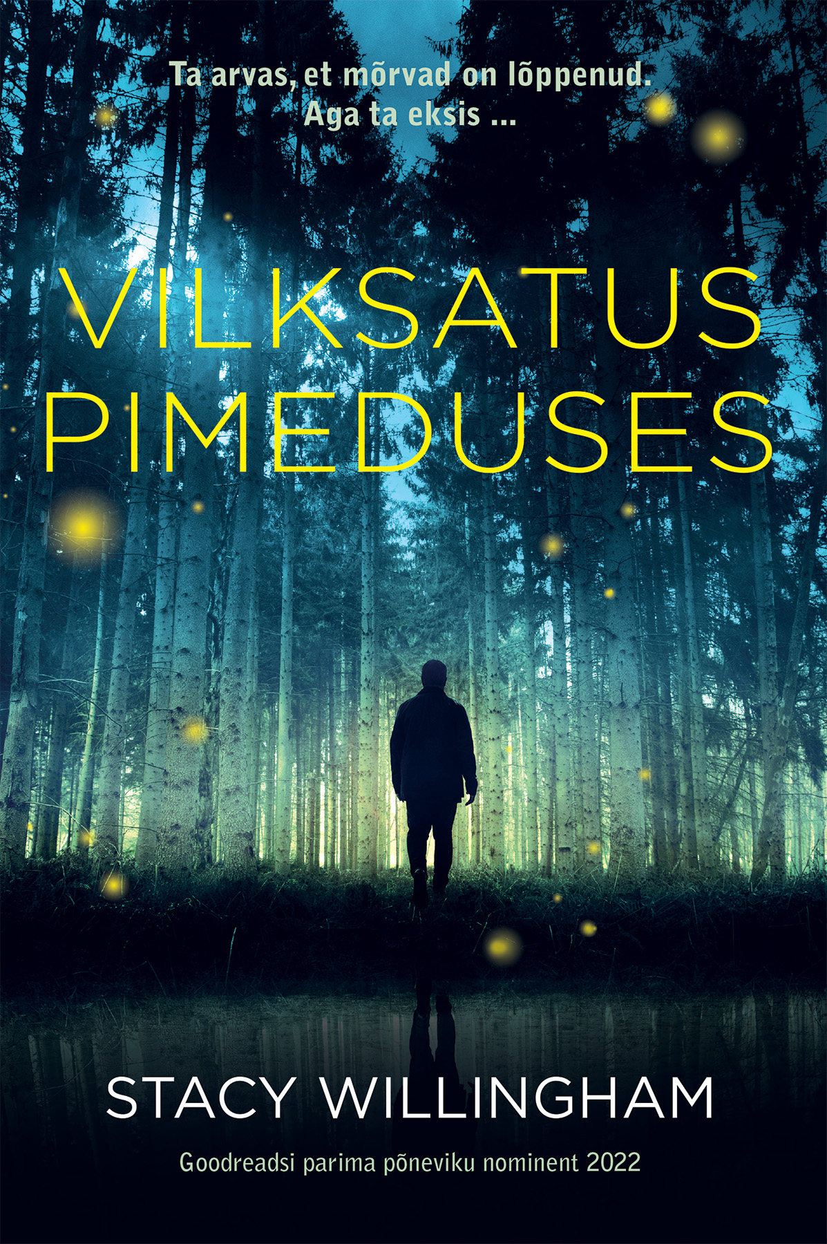 Vilksatus pimeduses - Stacy Willingham