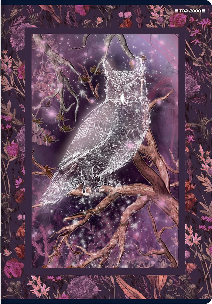 Kaustik A5 60l, 5x5 ruut, Fairytale, assortii, TOP-2000