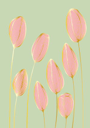Postkaart Toni Starck, Golden Tulips