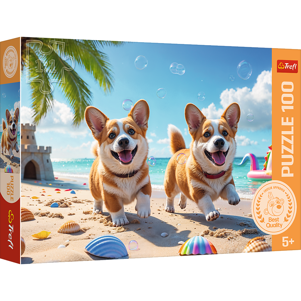 Pusle 100 tk Corgi