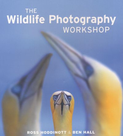 Wildlife Photography Workshop
