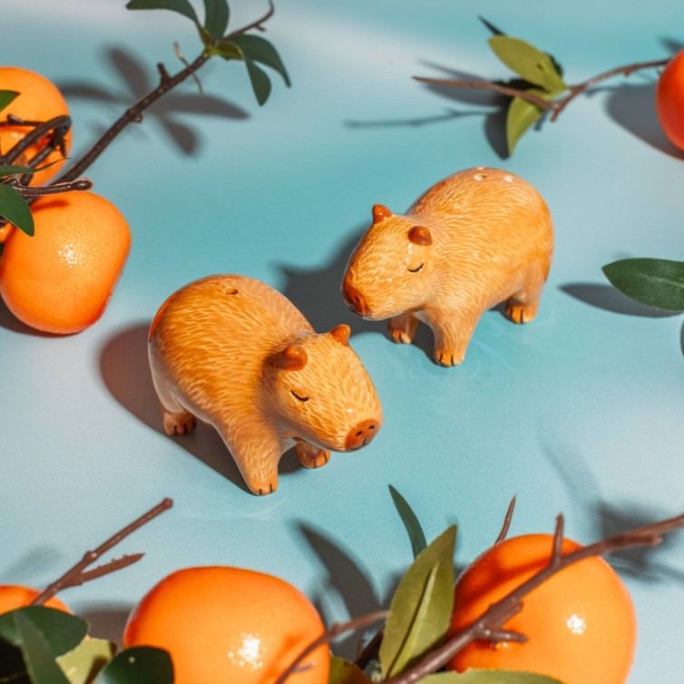 Pipra- ja Soolatoos Capybara