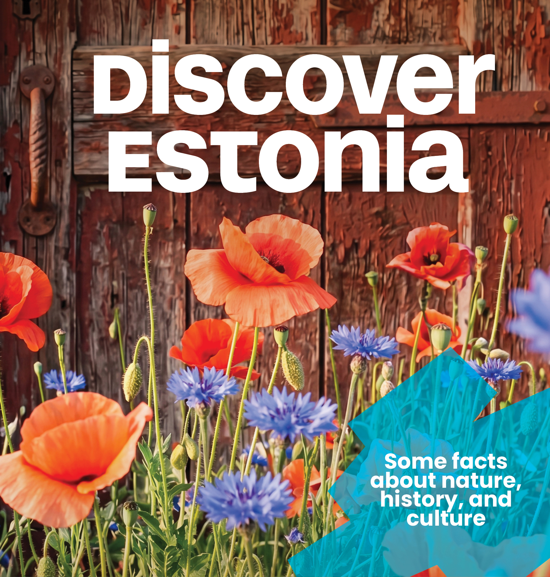 Discover Estonia