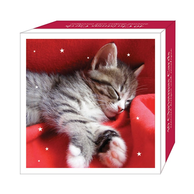 Jõulukaartide komplekt Cosy Kittens, 40tk
