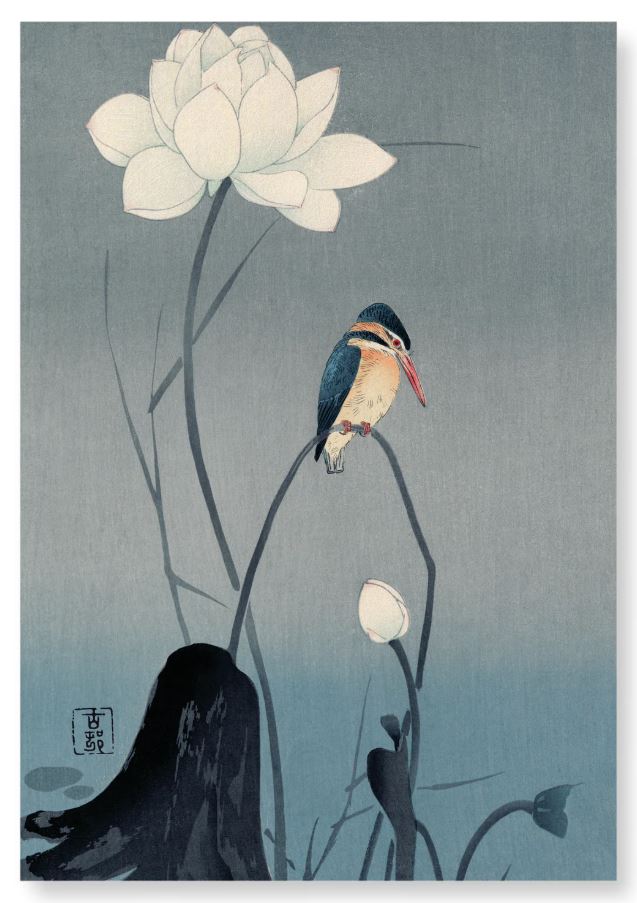 Seinapilt Kingfisher And Lotus, 43x30cm