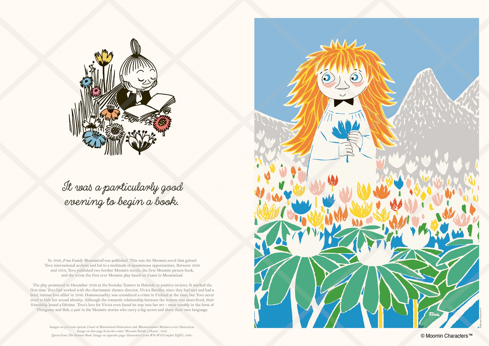 The Art of Tove Jansson (A Pull-Out Prints Book) - Tove Jansson