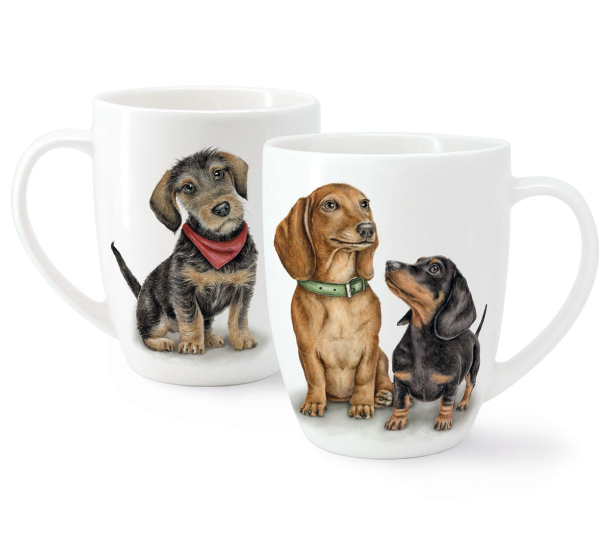 Kruus Doxie Gang