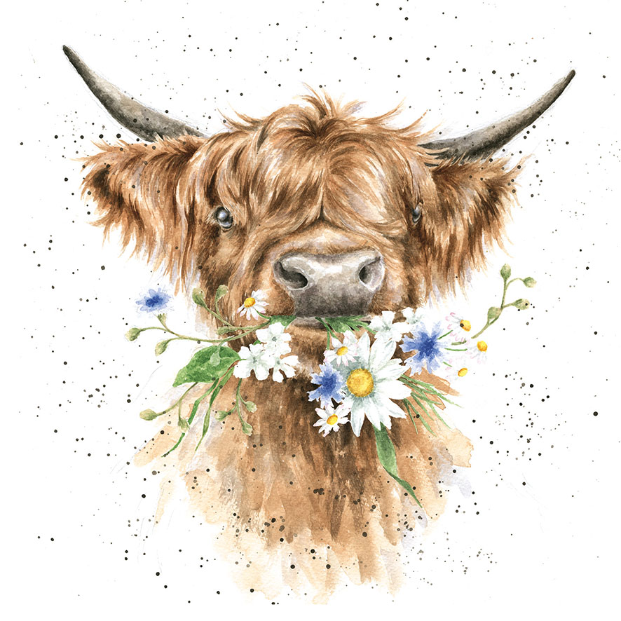 Wrendale õnnitluskaart Daisy Cow