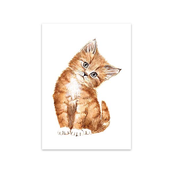 Õnnitluskaart Sweet Kitty