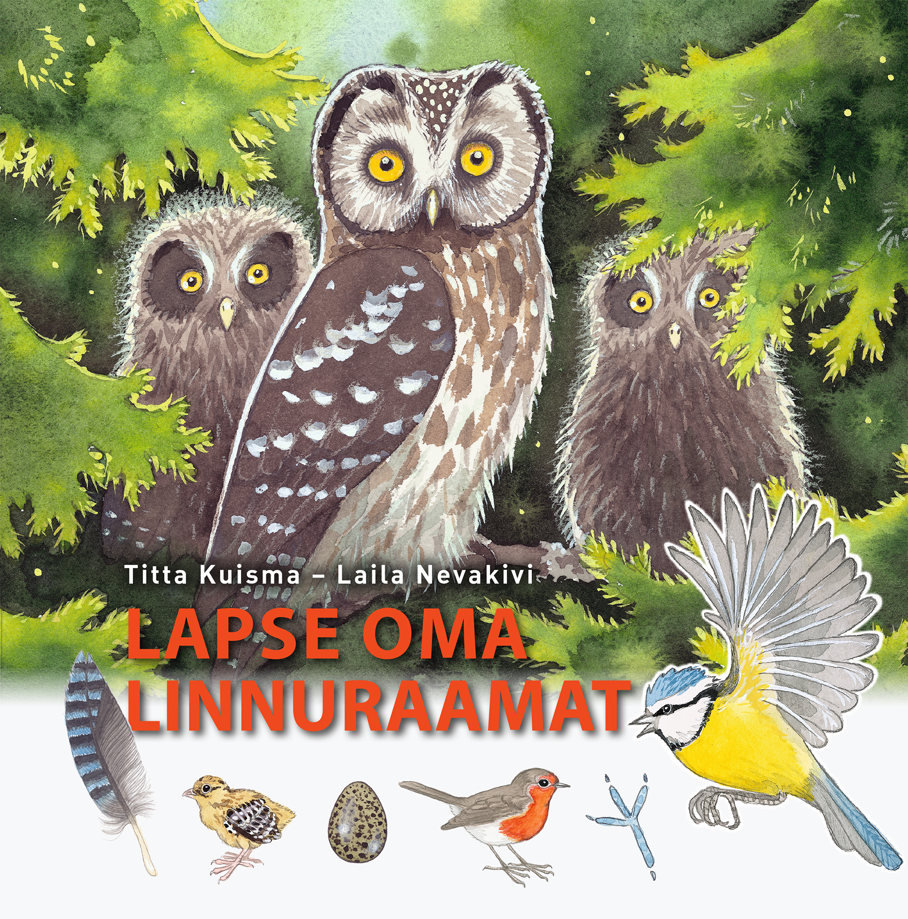Lapse oma linnuraamat