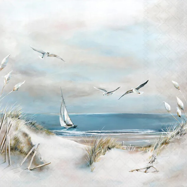 Lauasalvrätikud Sailing at Sea, 20tk