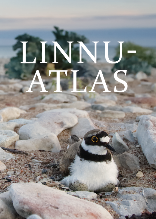 LINNUATLAS. EESTI HAUDELINDUDE LEVIK JA ARVUKUS