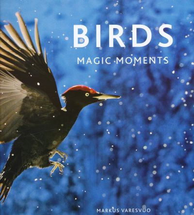 Birds Magic Moments