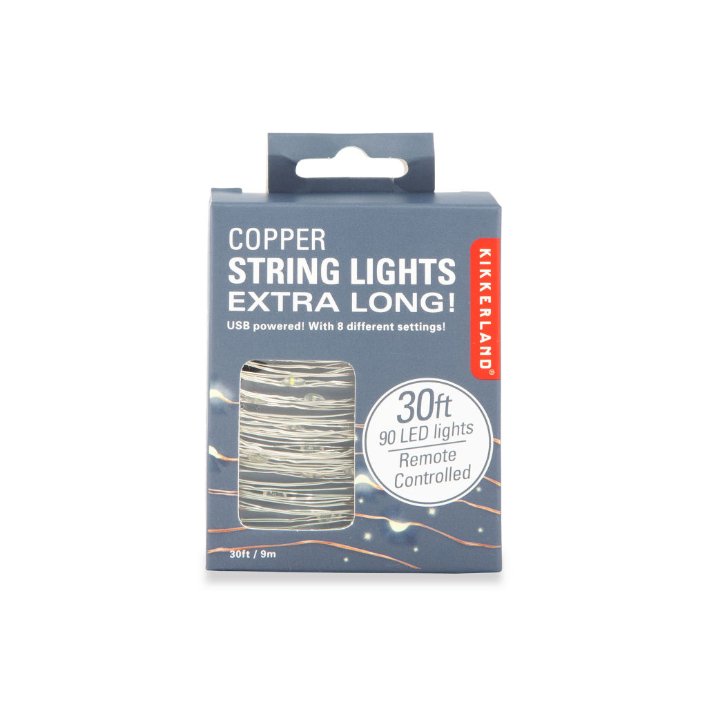 DEKORATIIVVALGUSTI SILVER STRING, 9M