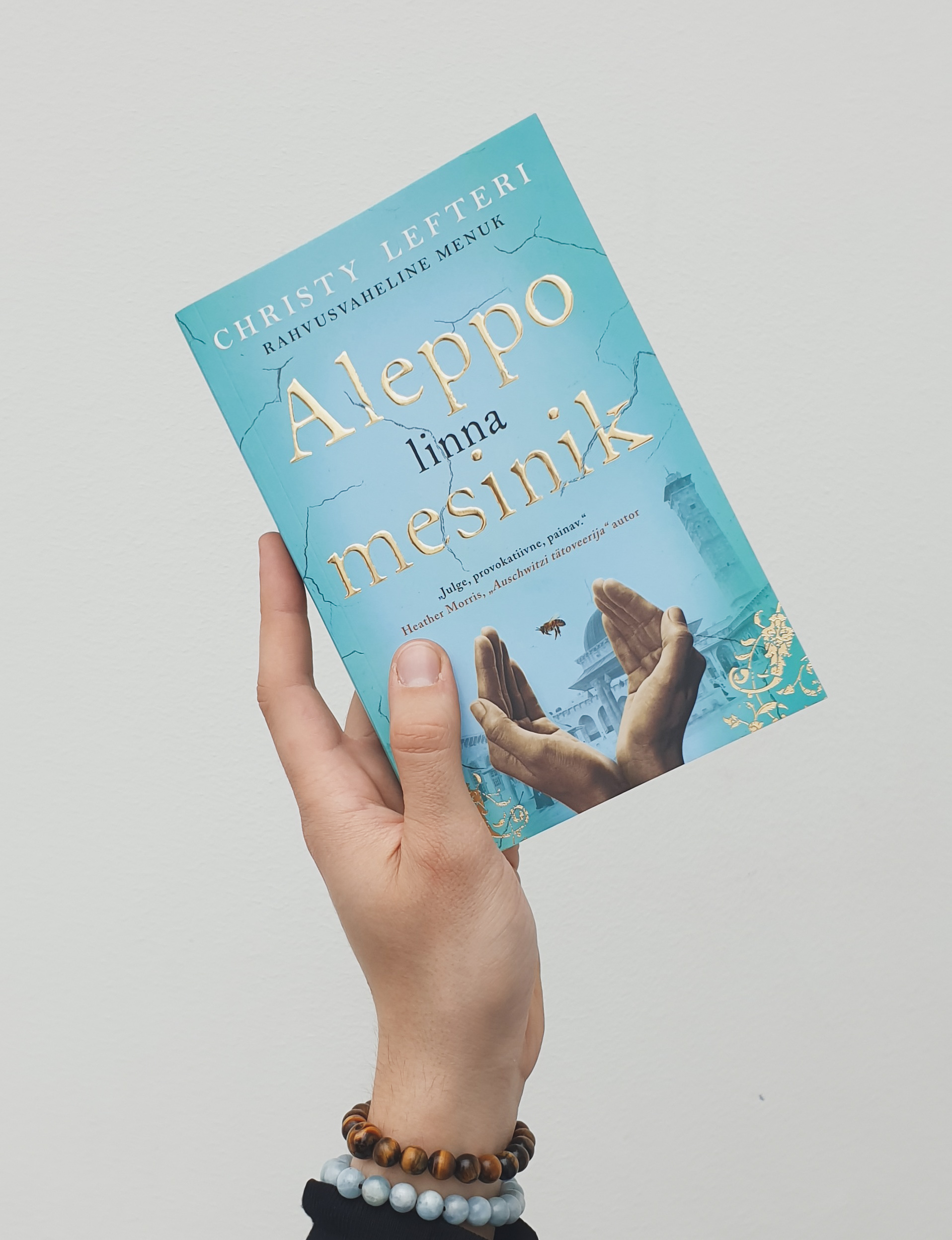 Aleppo linna mesinik - Christy Lefteri