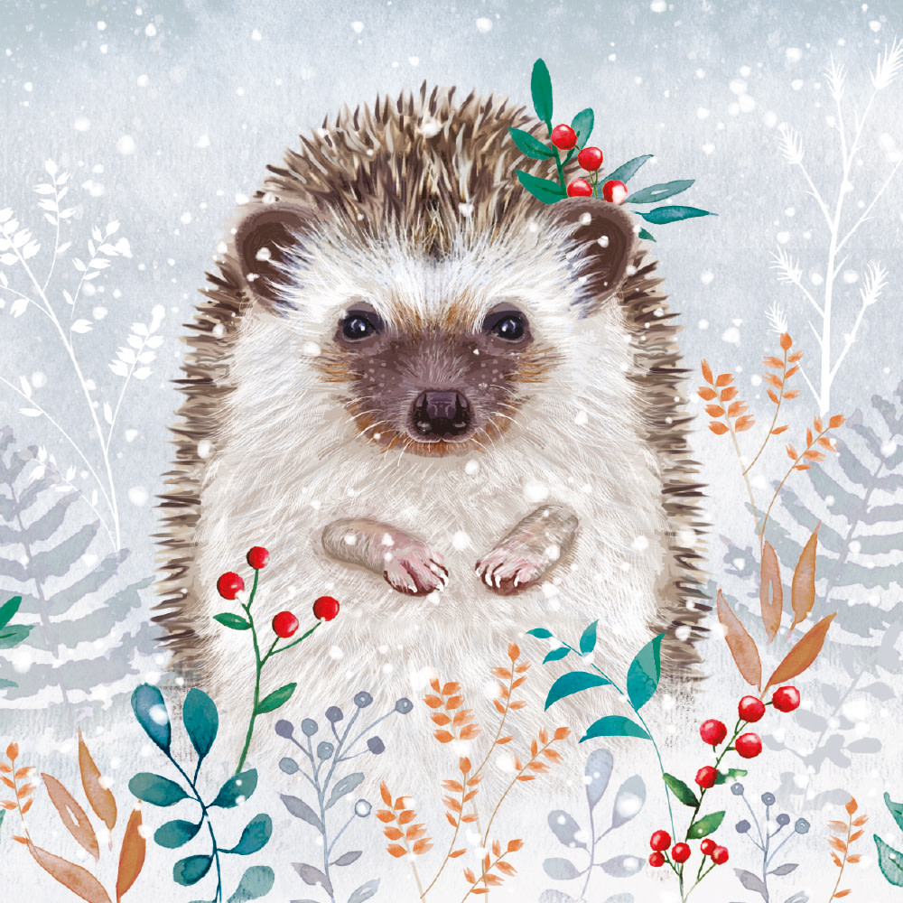Jõulukaartide komplekt Winter Foliage Hedgehog, 8tk