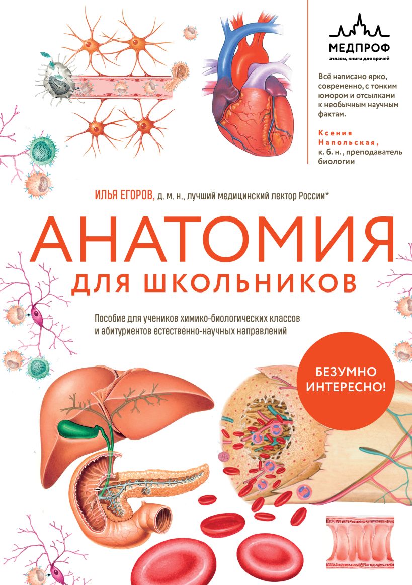Анатомия для школьников. Пособие для учеников химико-биологических классов и абитуриентов