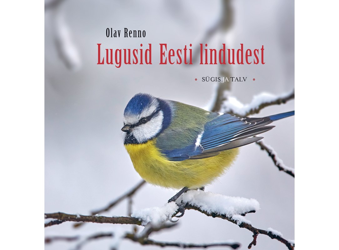 Lugusid Eesti lindudest II. Sügis ja talv