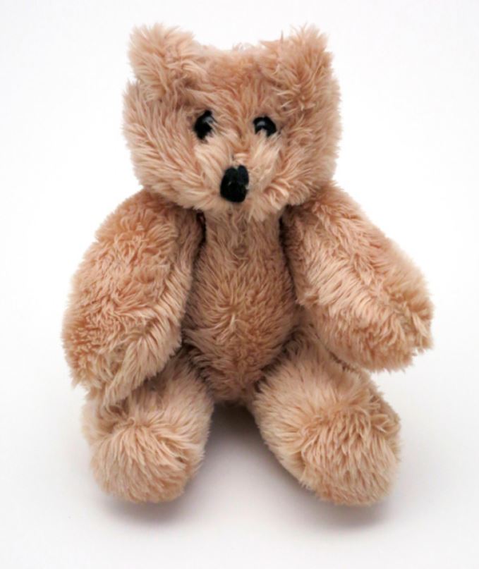 VÕTMEHOIDJA TEDDY BEAR