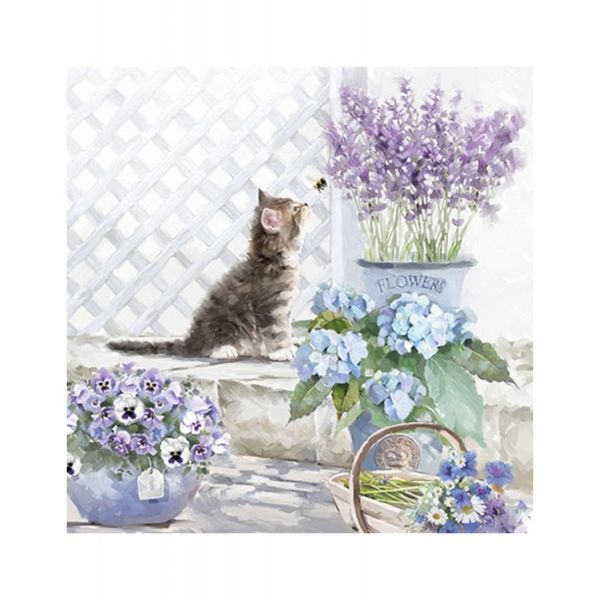 Lauasalvrätikud Kitten, 20tk