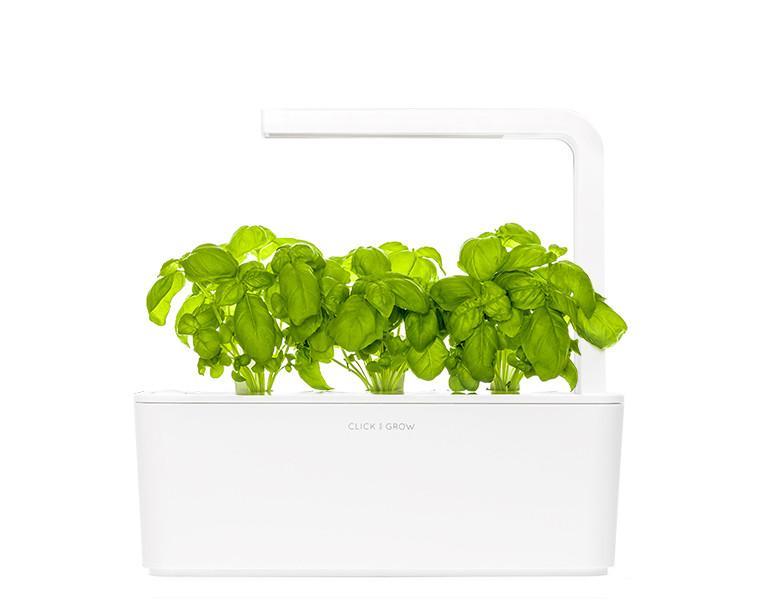 CLICK & GROW: 3 TAIMEKASSETTI, BASIILIK