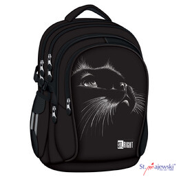 Seljakott kass, Black Cat