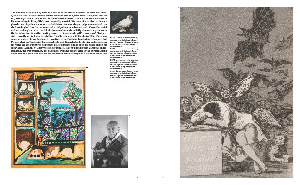Birds: The Goldfinch, Birds, Art, and Us