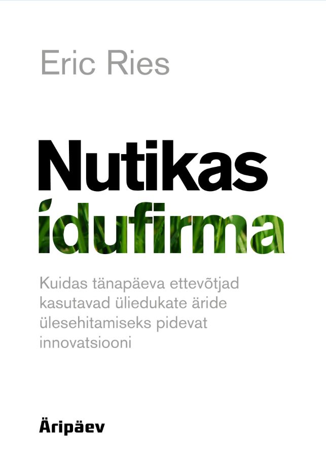 E-raamat: Nutikas idufirma