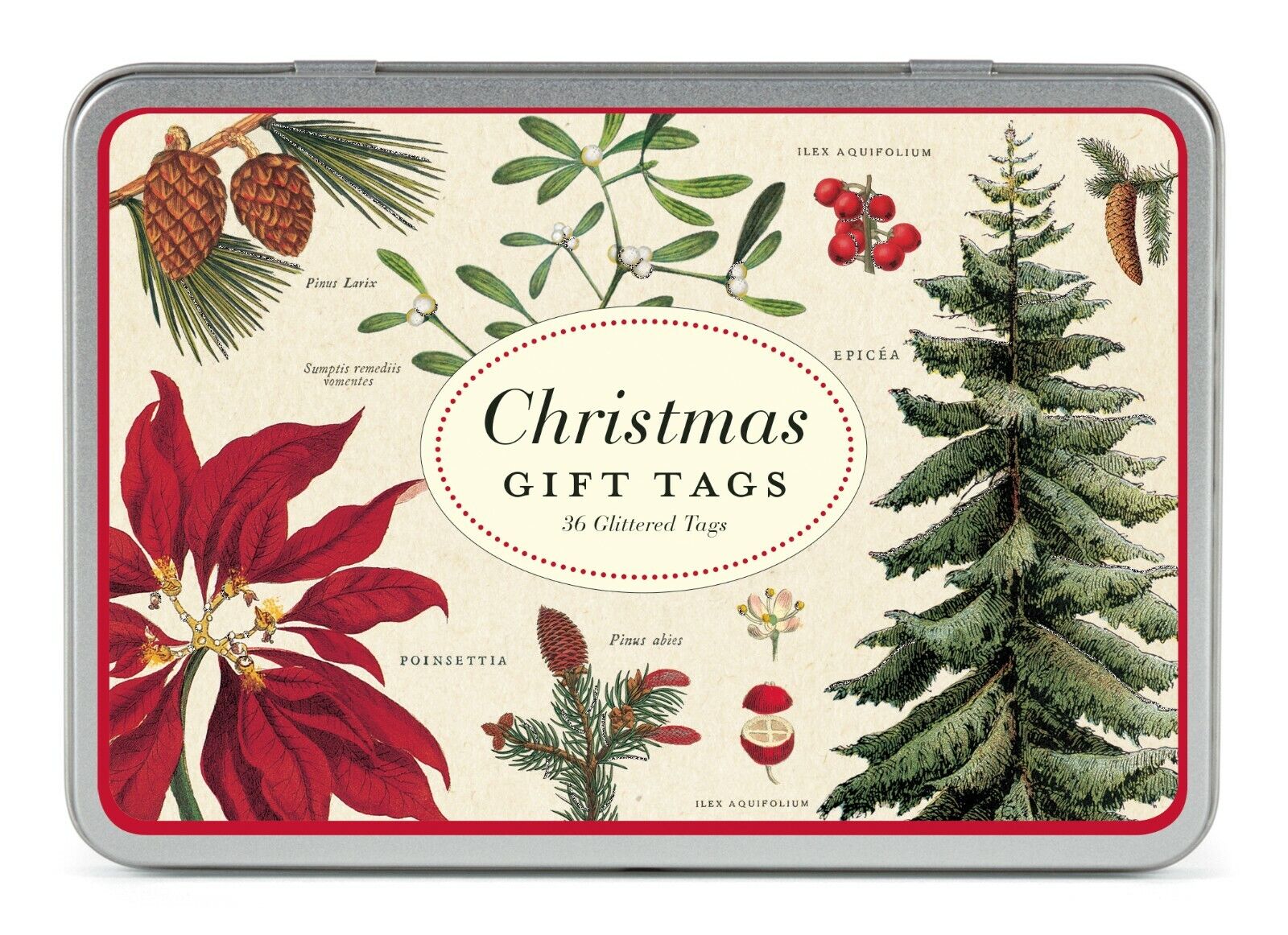 Kingituste sedelid Christmas Botanica, Glitter, 36tk
