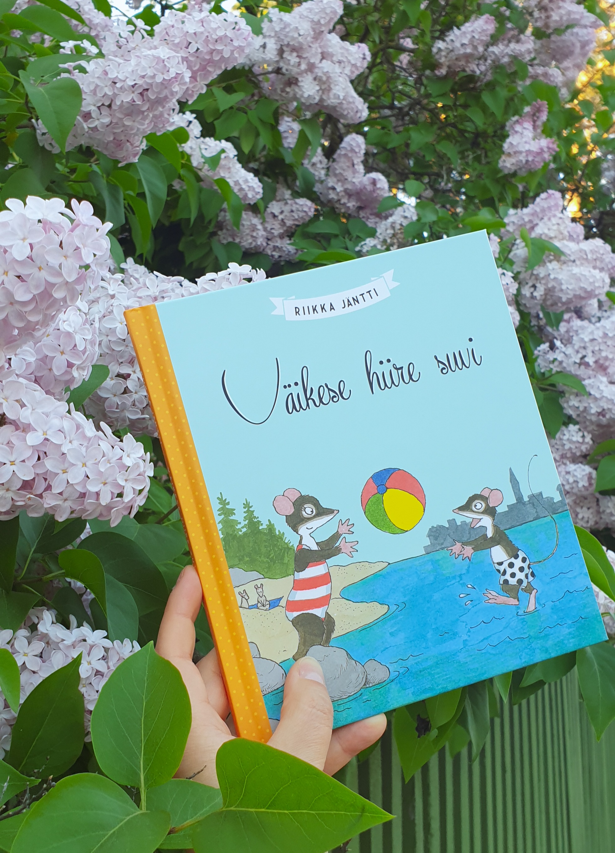 Väikese hiire suvi