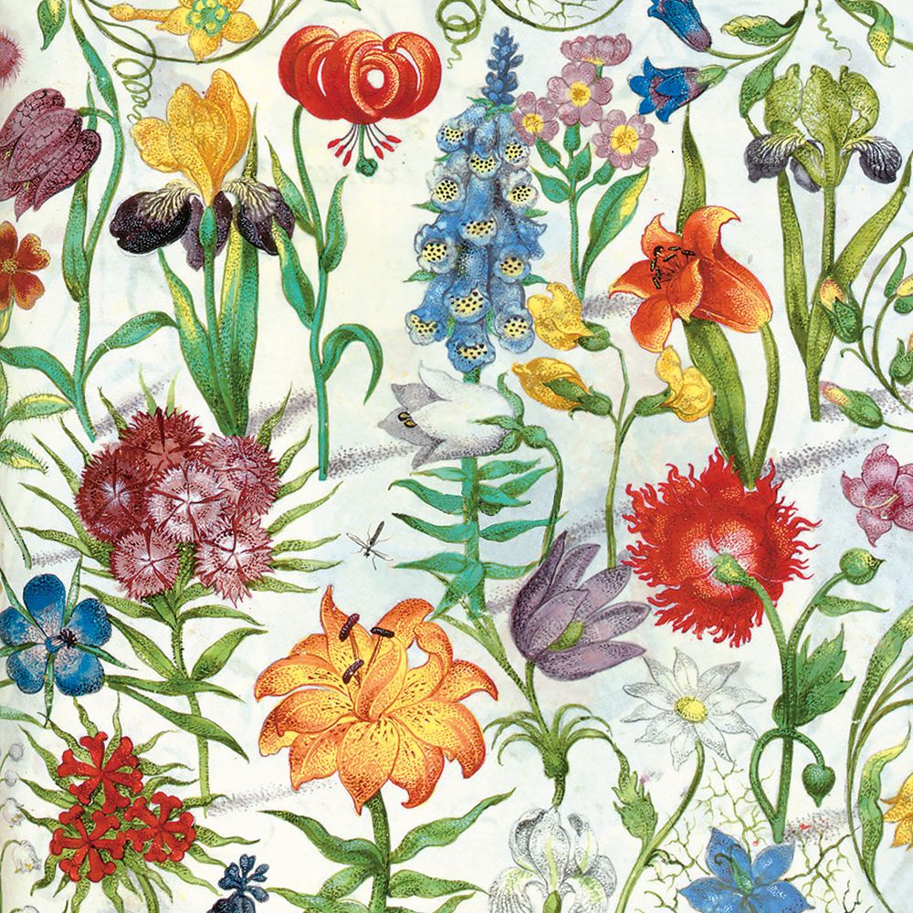 Õnnitluskaart Floral Manuscript