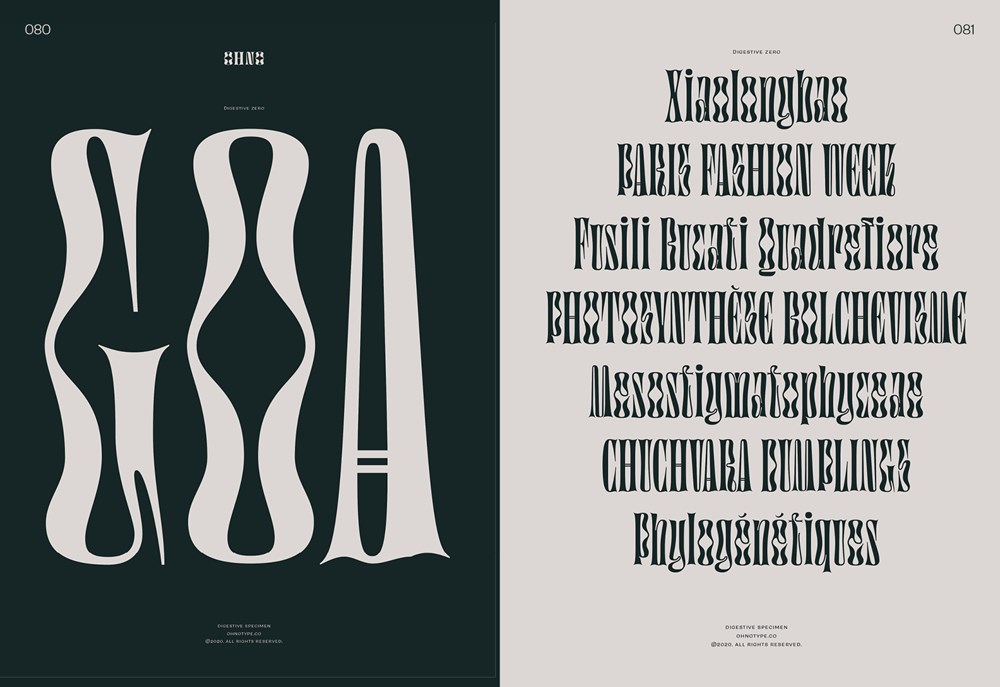 Serif in Use: A Collection of Serif Typefaces