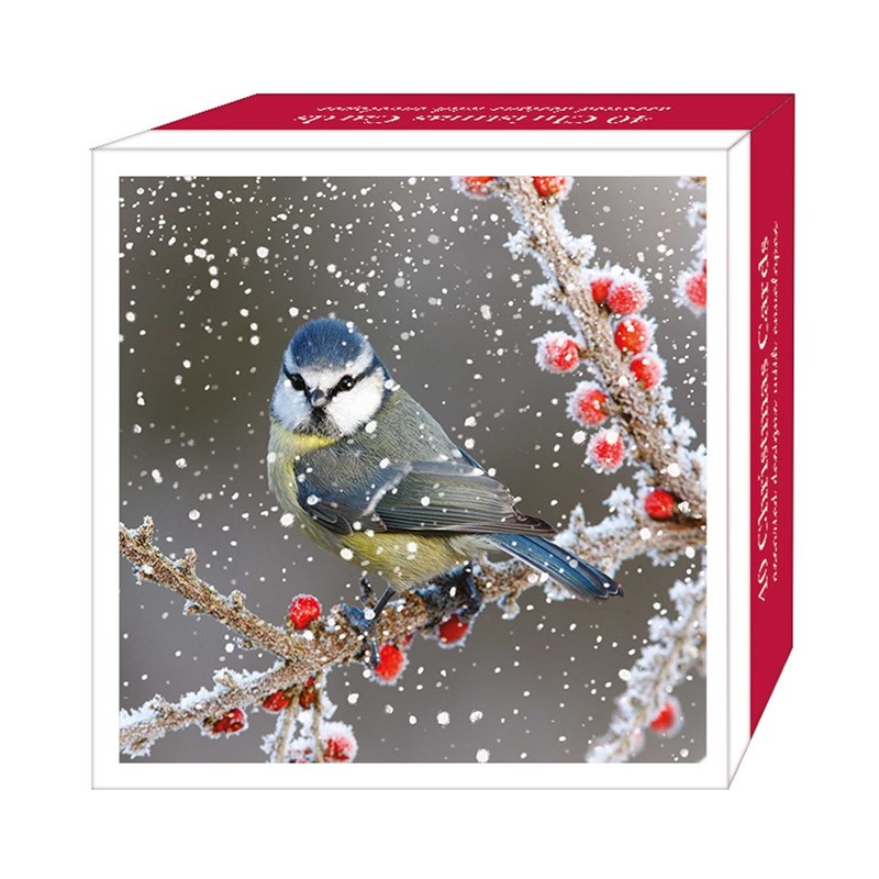Jõulukaartide komplekt Birds in the Snow, 40tk