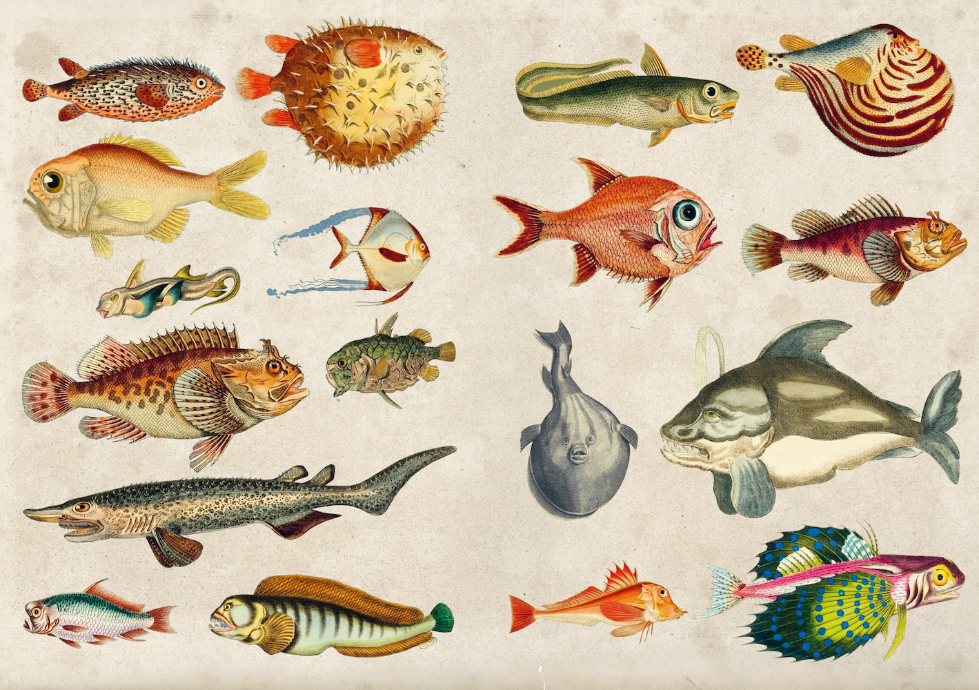 Curious Collections Sticker Book