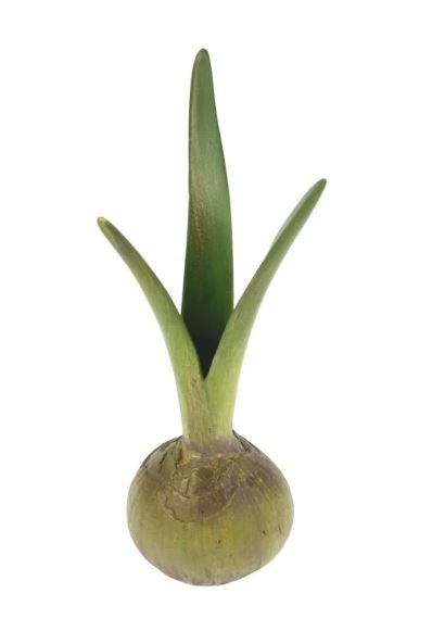 Lillevaas Flower Bulb